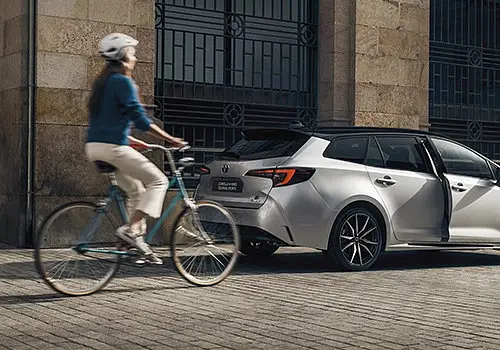 Asistent pro bezpečné vystupování (SEA)