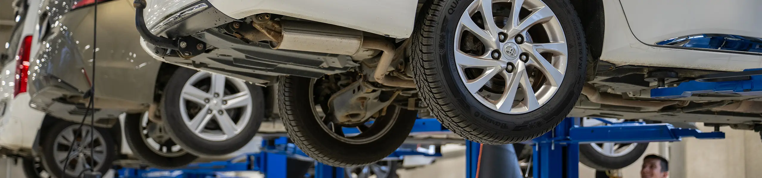 Naše ekologická odpovědnost k přírodě